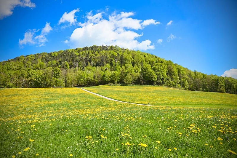 Alles Neu macht der Mai Storytelling Corona DNA Unternehmen Hotel Gastronomie