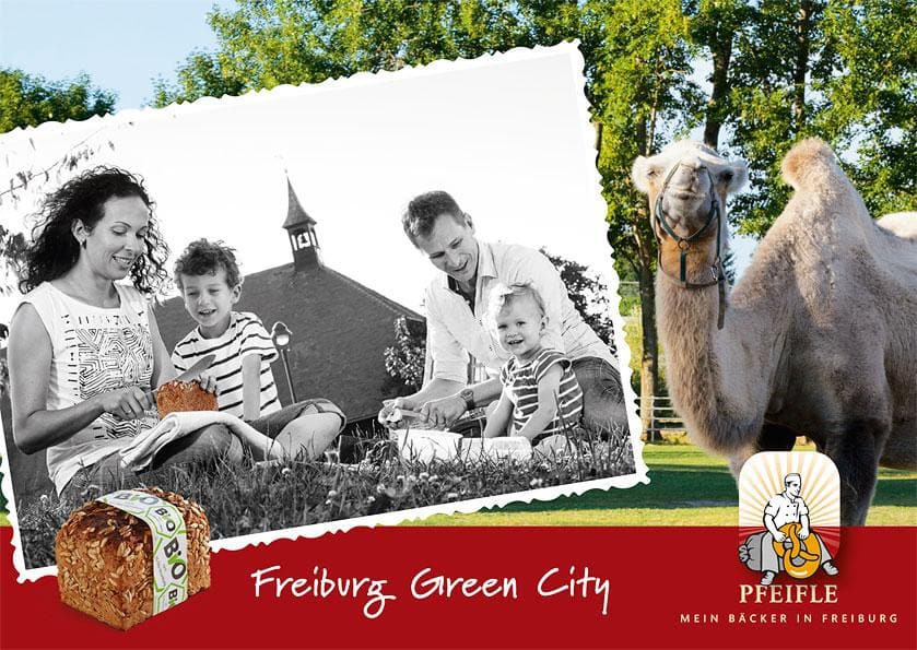 PF_Postkarten_9-Sorten_zur-Freigabe-9