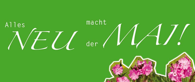 Alles NEU macht der MAI Grün Blumen magenta Storytelling Corona
